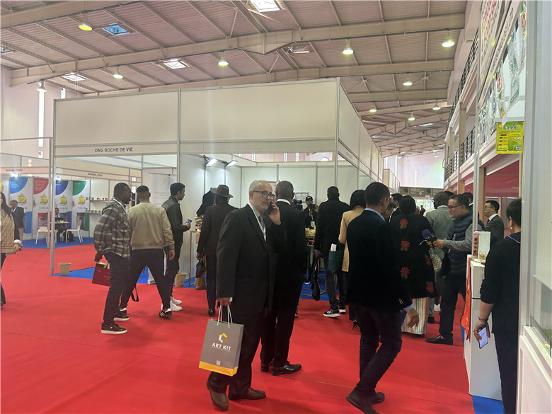 Exhibition Activity 2 (23)