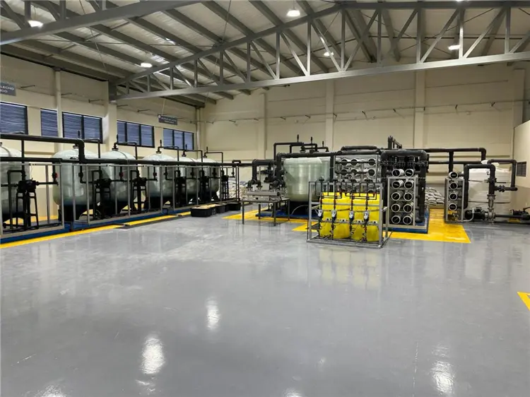 Domestic Waters-2 (3).jpg